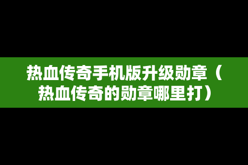 热血传奇手机版升级勋章（热血传奇的勋章哪里打）