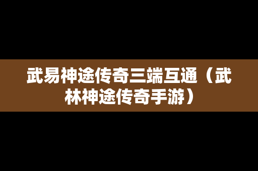武易神途传奇三端互通（武林神途传奇手游）