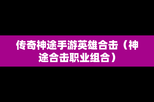 传奇神途手游英雄合击（神途合击职业组合）