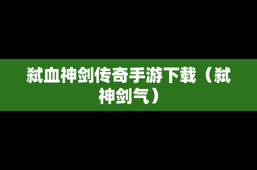 弑血神剑传奇手游下载（弑神剑气）