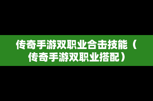 传奇手游双职业合击技能（传奇手游双职业搭配）