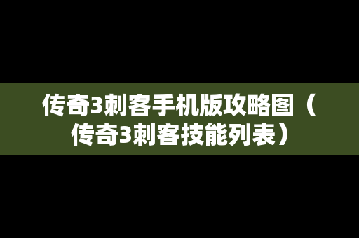 传奇3刺客手机版攻略图（传奇3刺客技能列表）