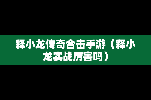 释小龙传奇合击手游（释小龙实战厉害吗）