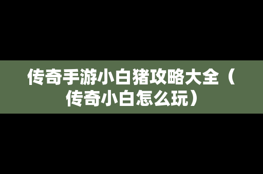 传奇手游小白猪攻略大全（传奇小白怎么玩）