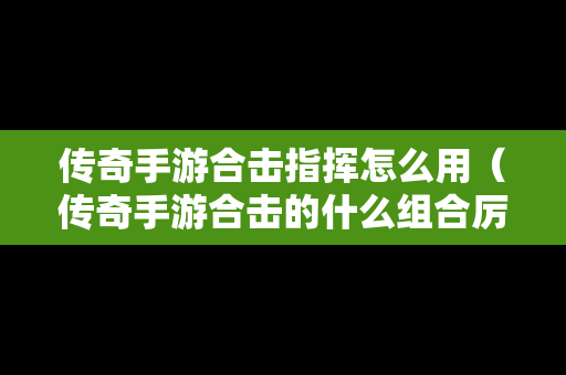 传奇手游合击指挥怎么用（传奇手游合击的什么组合厉害）